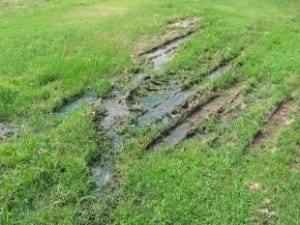 How to Tell if You Need to Call a Drain Field Repair Professional