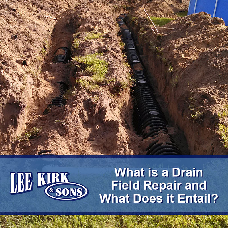 What is a Drain Field Repair and What Does it Entail?